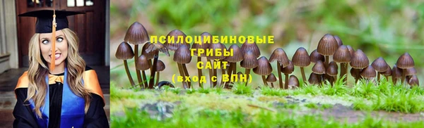 марки lsd Липки
