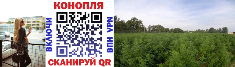 Бошки Шишки SATIVA & INDICA Магнитогорск